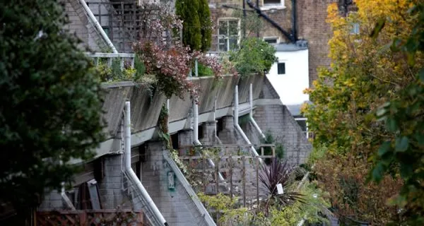 Dense vegetation behind multilevel residential building | TreesUK