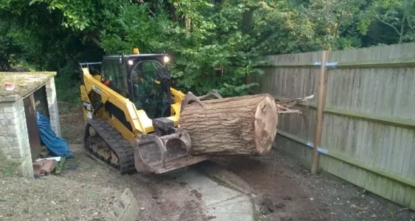 Loader transporting oversized tree log through woodland site | TreesUK