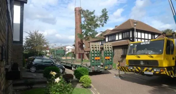 Arborist clearing large trunk on residential estate | TreesUK
